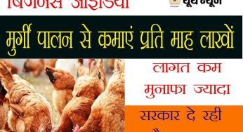 शुरू करें मुर्गी पालन Poultry का बिजनेस, सरकार दे रही अनुदान